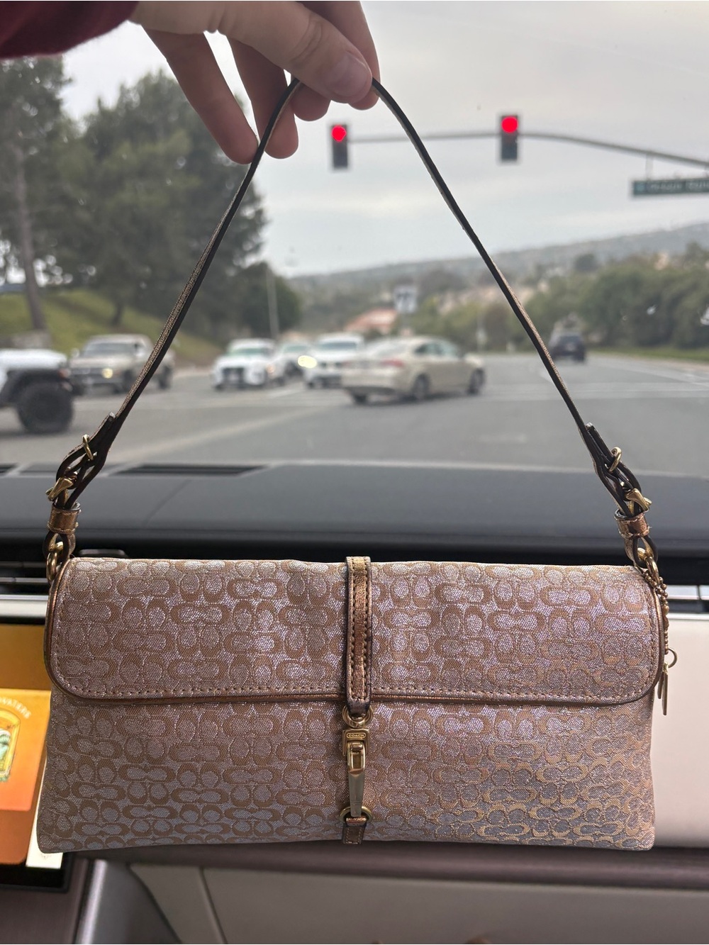 Vintage Coach Metallic Demi Bag (Style F3J-6380)